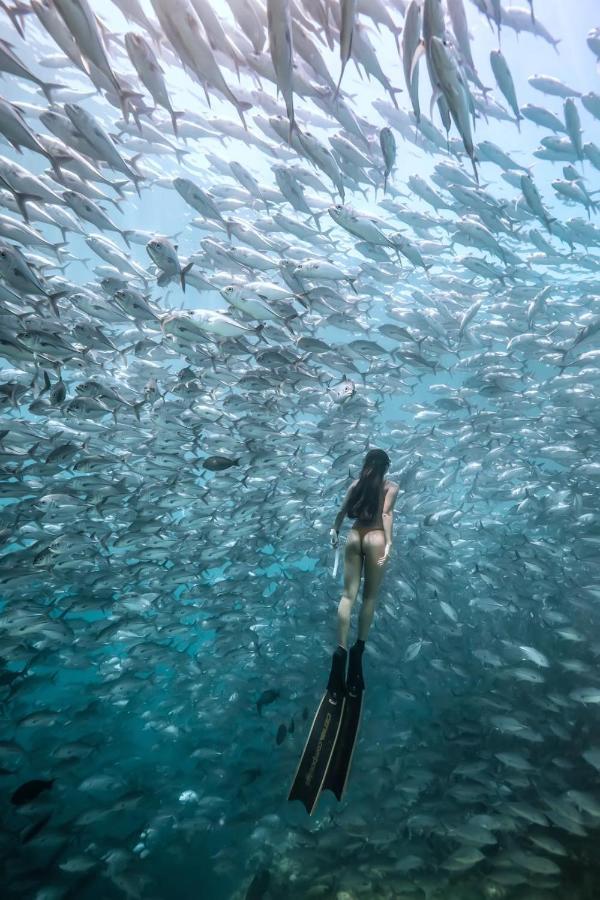 Sipadan Service * Semporna